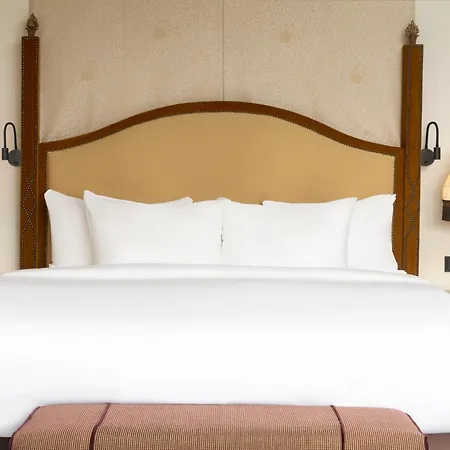 Hotel Des Indes Haag